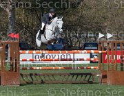 Lambre Wonami TosTour2013- S5 2522 : Arezzo, Arezzo Equestrian Centre, Lambre Santiago, Toscana Tour 2013, Wonami vd Aard, foto di Stefano Secchi ©