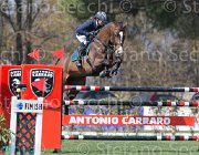 Marioni Anuberth TosTour2013- S5 2437 : Anuberth, Arezzo, Arezzo Equestrian Centre, Marioni Alessia, Toscana Tour 2013, foto di Stefano Secchi ©