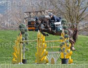 Marioni Casanova TosTour2013- S5 2680 : Arezzo, Arezzo Equestrian Centre, Casanova Z, Marioni Alessia, Toscana Tour 2013, foto di Stefano Secchi ©