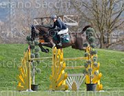 Marioni Casanova TosTour2013- S5 2681 : Arezzo, Arezzo Equestrian Centre, Casanova Z, Marioni Alessia, Toscana Tour 2013, foto di Stefano Secchi ©