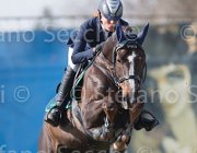 Marioni Casanova TosTour 2013- S5 3331 : Arezzo Equestrian Centre, Casanova Z, Marioni Alessia, Toscana Tour 2013, foto di Stefano Secchi ©