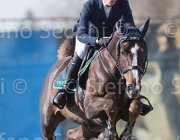Marioni Casanova TosTour 2013- S5 3332 : Arezzo Equestrian Centre, Casanova Z, Marioni Alessia, Toscana Tour 2013, foto di Stefano Secchi ©