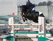 Marioni Casanova TosTour 2013- S5 3333 : Arezzo Equestrian Centre, Casanova Z, Marioni Alessia, Toscana Tour 2013, foto di Stefano Secchi ©