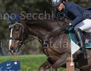 Marioni Casanova TosTour 2013- S5 3339 : Arezzo Equestrian Centre, Casanova Z, Marioni Alessia, Toscana Tour 2013, foto di Stefano Secchi ©