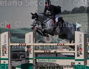 Marschall Bario TosTour 2013- S5 3359 : Arezzo Equestrian Centre, Bario vTM, Marschall Marcel, Toscana Tour 2013, foto di Stefano Secchi ©