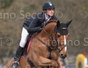 Marschall Petit TosTour 2013- S4 6487 : Arezzo Equestrian Centre, Marschall Marcel, Toscana Tour 2013, Va Petit dH, foto di Stefano Secchi ©
