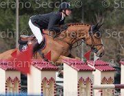 Marschall Petit TosTour 2013- S4 6489 : Arezzo Equestrian Centre, Marschall Marcel, Toscana Tour 2013, Va Petit dH, foto di Stefano Secchi ©