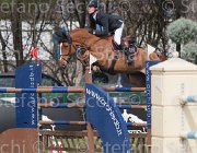 Marschall Petit TosTour 2013- S4 6493 : Arezzo Equestrian Centre, Marschall Marcel, Toscana Tour 2013, Va Petit dH, foto di Stefano Secchi ©
