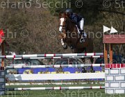 Martini Cleopatra TosTour2013- S5 2451 : Arezzo, Arezzo Equestrian Centre, Cleopatra VI, Martini Monika, Toscana Tour 2013, foto di Stefano Secchi ©
