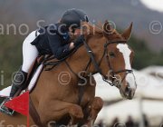 Martini Cleopatra TosTour 2013- S5 7326 : Arezzo Equestrian Centre, Cleopatra VI, Martini Monika, Toscana Tour 2013, foto di Stefano Secchi ©