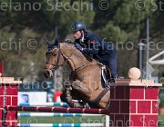 Marziani Capriccio TosTour2013- S5 2343 : Arezzo, Arezzo Equestrian Centre, Capriccio, Marziani Luca, Toscana Tour 2013, foto di Stefano Secchi ©