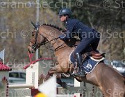 Marziani Capriccio TosTour2013- S5 2345 : Arezzo, Arezzo Equestrian Centre, Capriccio, Marziani Luca, Toscana Tour 2013, foto di Stefano Secchi ©