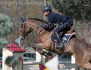 Marziani Capriccio TosTour2013- S5 2346 : Arezzo, Arezzo Equestrian Centre, Capriccio, Marziani Luca, Toscana Tour 2013, foto di Stefano Secchi ©