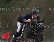 Meland Brooklynn TosTour 2013- S4 7010 : Arezzo Equestrian Centre, Broker's Brooklyn, Meland Ole, Toscana Tour 2013, foto di Stefano Secchi ©
