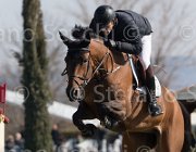 Mesquita Cleofas TosTour2013- S5 2029 : Arezzo, Arezzo Equestrian Centre, Cleofas van Westuur, Mesquita Rodrigo, Toscana Tour 2013, foto di Stefano Secchi ©
