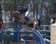 Minos Rolls TosTour 2013- S4 7009 : Arezzo Equestrian Centre, Minos damien, Rolls de Montigny, Toscana Tour 2013, foto di Stefano Secchi ©