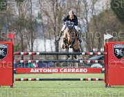 Moyersoen Ellyott TosTour2013- S5 1497 : Arezzo, Ellyott, Moyersoen Filippo, Toscana Tour 2013, foto di Stefano Secchi ©