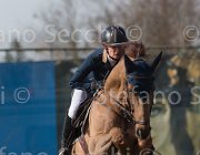 Offel Catan TosTour 2013- S5 3319 : Arezzo Equestrian Centre, Offel Katarina, Toscana Tour 2013, catan, foto di Stefano Secchi ©