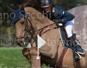 Offel Catan TosTour 2013- S5 3329 : Arezzo Equestrian Centre, Offel Katarina, Toscana Tour 2013, catan, foto di Stefano Secchi ©