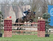 Offel Once TosTour 2013- S4 6896 : Arezzo Equestrian Centre, B Once Z, Offel Katarina, Toscana Tour 2013, foto di Stefano Secchi ©