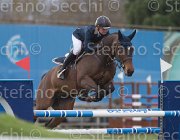 Offel Pour TosTour 2013- S5 7310 : Arezzo Equestrian Centre, Offel Katarina, Pour le Poussage, Toscana Tour 2013, foto di Stefano Secchi ©