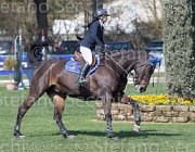 Olgiati Asjy TosTour2013- S5 2531 : Arezzo, Arezzo Equestrian Centre, Asjy van Berkenbroeck, Olgiati Rossella, Toscana Tour 2013, foto di Stefano Secchi ©