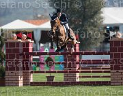 Panini Goto TosTour2013- S5 1984 : Arezzo, Arezzo Equestrian Centre, Goto del Terriccio, Panini Gianmarco, Toscana Tour 2013, foto di Stefano Secchi ©