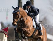 Panini Goto TosTour2013- S5 1987 : Arezzo, Arezzo Equestrian Centre, Goto del Terriccio, Panini Gianmarco, Toscana Tour 2013, foto di Stefano Secchi ©