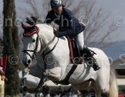Pappalettera Centofiori TosTour2013- S5 2089 : Arezzo, Arezzo Equestrian Centre, Centofiori dei Dioscuri, Pappalettera Sabino, Toscana Tour 2013, foto di Stefano Secchi ©