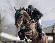 Passy Elliot TosTour2013- S5 1971 : Arezzo, Arezzo Equestrian Centre, Passy Wiiliam James, Toscana Tour 2013, Yirrkala Elliot, foto di Stefano Secchi ©