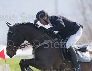 Passy Elliot TosTour2013- S5 1974 : Arezzo, Arezzo Equestrian Centre, Passy Wiiliam James, Toscana Tour 2013, Yirrkala Elliot, foto di Stefano Secchi ©