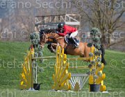 Penalosa Veldhoek TosTour2013- S5 2897 : Arezzo, Arezzo Equestrian Centre, Darker, Penalosa Andres, Salinger Veldoek, Toscana Tour 2013, foto di Stefano Secchi ©