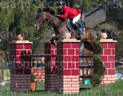 Penalosa Zanakta TosTour2013- S5 2125 : Arezzo, Arezzo Equestrian Centre, Penalosa Andres, Toscana Tour 2013, Zanakta, foto di Stefano Secchi ©