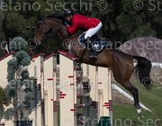 Penalosa Zanakta TosTour2013- S5 2128 : Arezzo, Arezzo Equestrian Centre, Penalosa Andres, Toscana Tour 2013, Zanakta, foto di Stefano Secchi ©