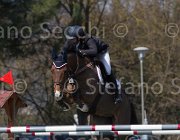Petkov Contigo TosTour2013- S5 2492 : Arezzo, Arezzo Equestrian Centre, Contigo, Petkov Ruslan, Toscana Tour 2013, foto di Stefano Secchi ©