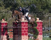 Petris Liquido TosTour2013- S5 2231 : Arezzo, Arezzo Equestrian Centre, Liquido, Petris Antonis, Toscana Tour 2013, foto di Stefano Secchi ©
