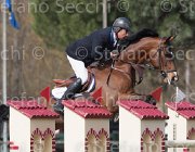 Petris Liquido TosTour 2013- S4 6416 : Arezzo Equestrian Centre, Liquido, Petris Antonis, Toscana Tour 2013, foto di Stefano Secchi ©