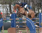 Philipps Vasco TosTour 2013- S4 6702 : Arezzo Equestrian Centre, Philipps Ignace, Toscana Tour 2013, foto di Stefano Secchi ©, vasco