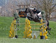 Pinchen Herald TosTour2013- S5 2725 : Arezzo, Arezzo Equestrian Centre, Herald, Pinchen Yazmin, Toscana Tour 2013, foto di Stefano Secchi ©