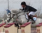 Pisani Adventure TosTour 2013- S4 6860 : Adventure, Arezzo Equestrian Centre, Pisani Riccardo, Toscana Tour 2013, foto di Stefano Secchi ©