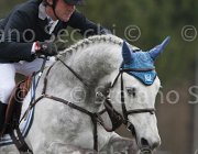 Pisani Adventure TosTour 2013- S4 6863 : Adventure, Arezzo Equestrian Centre, Pisani Riccardo, Toscana Tour 2013, foto di Stefano Secchi ©