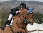 Pisani Chico TosTour 2013- S5 7581 : Arezzo Equestrian Centre, Chico Z, Pisani Riccardo, Toscana Tour 2013, foto di Stefano Secchi ©