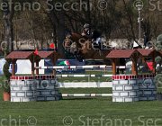 Prandi Goia TosTour2013- S5 2417 : Arezzo, Arezzo Equestrian Centre, Goia del Castegno, Prandi Roberto, Toscana Tour 2013, foto di Stefano Secchi ©
