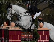 Rangel Cassius TosTour2013- S5 2268 : Arezzo, Arezzo Equestrian Centre, Cassius, Rangel Aurora, Toscana Tour 2013, foto di Stefano Secchi ©