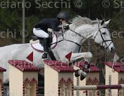 Reina Waipita TosTour 2013- S4 6452 : Arezzo Equestrian Centre, Reina Rachele, Toscana Tour 2013, Waipita, foto di Stefano Secchi ©