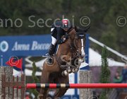 Richard Quister TosTour 2013- S5 7333 : Arezzo Equestrian Centre, Quister de Guldenboom, Richard Philipps Jane, Toscana Tour 2013, foto di Stefano Secchi ©