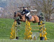 Rikkert Sorrento TosTour2013- S5 2705 : Arezzo, Arezzo Equestrian Centre, Rikkert Kristen, Sorrento, Toscana Tour 2013, foto di Stefano Secchi ©
