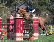 Rikkert Winde TosTour2013- S5 2213 : Arezzo, Arezzo Equestrian Centre, Rikkert Kristen, Toscana Tour 2013, Winde RAG, foto di Stefano Secchi ©