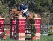 Rikkert Winde TosTour2013- S5 2214 : Arezzo, Arezzo Equestrian Centre, Rikkert Kristen, Toscana Tour 2013, Winde RAG, foto di Stefano Secchi ©