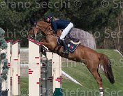 Rikkert Winde TosTour2013- S5 2215 : Arezzo, Arezzo Equestrian Centre, Rikkert Kristen, Toscana Tour 2013, Winde RAG, foto di Stefano Secchi ©